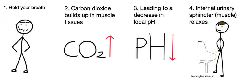 breath hold for paruresis explained