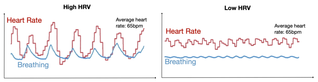 heart rate variability hrv breathing rate graph 